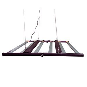 Lumen King Light Fixture 630W